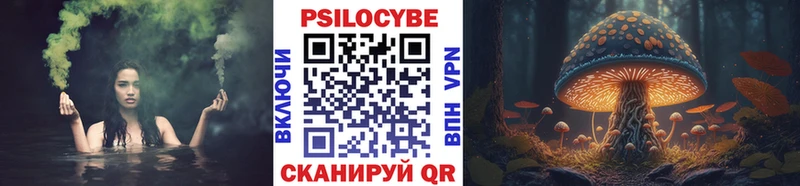 Псилоцибиновые грибы Psilocybine cubensis  Смоленск 